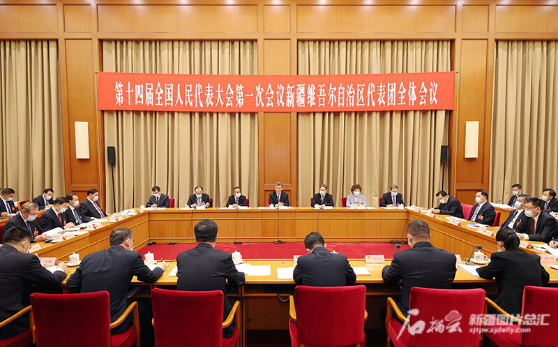 新疆代表团举行全体会议审议政府工作报告 新疆代表团举行全体会议审议政府工作报告