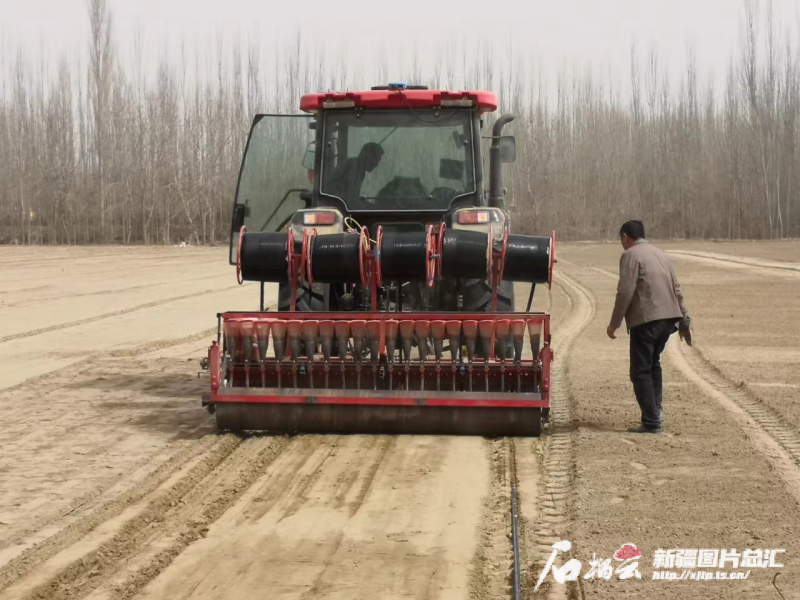 新疆新增100万吨粮食如何实现 新疆新增100万吨粮食如何实现