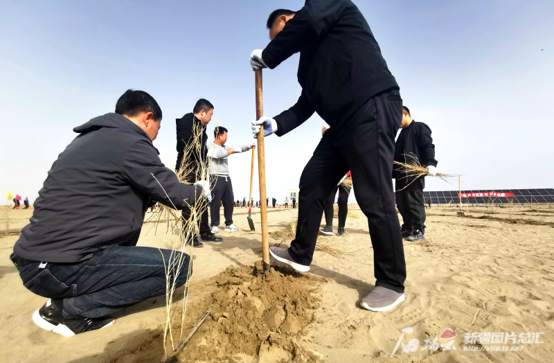 新疆发布2024年第1号总林长令 全力打好塔克拉玛干沙漠边缘阻击战 新疆发布2024年第1号总林长令 全力打好塔克拉玛干沙漠边缘阻击战
