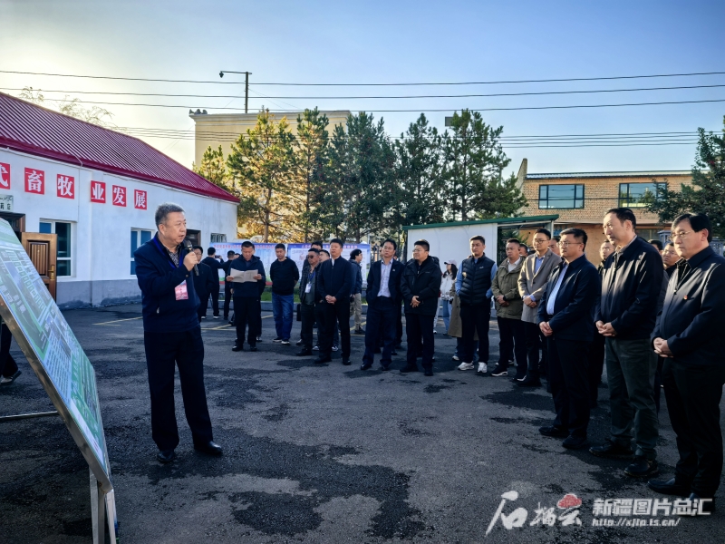 全国草原畜牧业转型升级取得积极成效 全国草原畜牧业转型升级取得积极成效