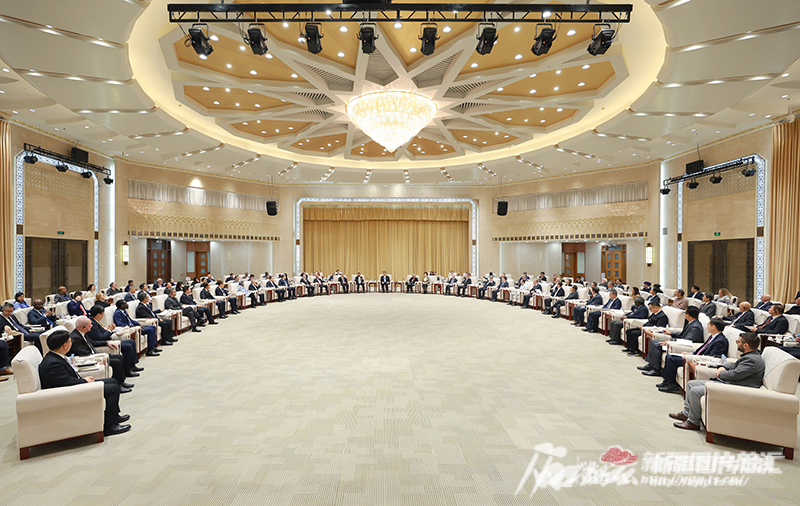 马兴瑞艾尔肯·吐尼亚孜会见新疆的就业和社会保障国际研讨会嘉宾