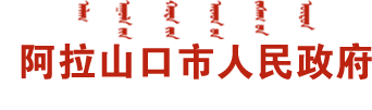 阿拉山口市政府网